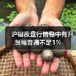 沪铝夜盘行情稳中有升 涨幅普遍不足1%（图1）