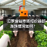 汩罗废铝市场报价最新涨跌情况如何？（图4）