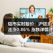 铝市实时报价：沪铝主连涨0.86% 涨跌详情速览（图1）