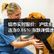 铝市实时报价：沪铝主连涨0.86% 涨跌详情速览（图3）