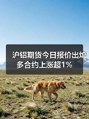 沪铝期货今日报价出炉 多合约上涨超1%（图1）