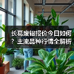 长葛废铝报价今日如何？主流品种行情全解析（图3）