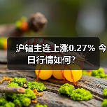 沪铝主连上涨0.27% 今日行情如何？（图3）