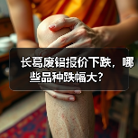 长葛废铝报价下跌,哪些品种跌幅大?(图3) 长葛废铝报价下跌,哪些品种跌幅大?(图3)
