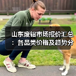 山东废铝市场报价汇总：各品类价格及趋势分析（图1）