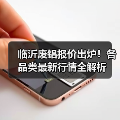 临沂废铝报价出炉!各品类最新行情全解析(图3) 临沂废铝报价出炉!各品类最新行情全解析(图3)