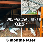沪铝早盘震荡：哪些合约上涨？（图3）