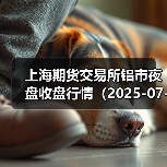 上海期货交易所铝市夜盘收盘行情（2025-07-03 01:03）（图2）