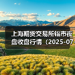 上海期货交易所铝市夜盘收盘行情（2025-07-03 01:03）（图3）