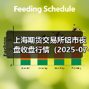 上海期货交易所铝市夜盘收盘行情(2025-07-03 01:03)(图4) 上海期货交易所铝市夜盘收盘行情(2025-07-03 01:03)(图4)