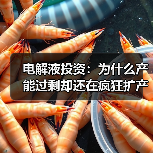 电解液投资：为什么产能过剩却还在疯狂扩产？从“供需错配”陷阱到价值投资逻辑的重塑（图2）