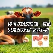 你每次投资亏钱，真的只是因为运气不好吗？——从老张的惨痛教训看透风险管理的本质（图3）