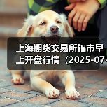 上海期货交易所铝市早上开盘行情(2025-07-03 09:03)(图2) 上海期货交易所铝市早上开盘行情(2025-07-03 09:03)(图2)