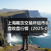 上海期货交易所铝市夜盘收盘行情（2025-07-02 01:03）（图4）