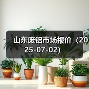 山东废铝市场报价(2025-07-02)(图3) 山东废铝市场报价(2025-07-02)(图3)