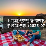 上海期货交易所铝市下午收盘行情（2025-07-02 15:03）（图2）