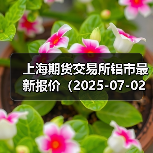 上海期货交易所铝市最新报价(2025-07-02 10:15)(图2) 上海期货交易所铝市最新报价(2025-07-02 10:15)(图2)