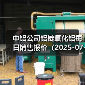 中铝公司铝锭氧化铝每日销售报价（2025-07-01）（图2）