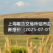 上海期货交易所铝市最新报价（2025-07-01 14:00）（图1）