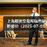上海期货交易所铝市最新报价（2025-07-01 10:15）（图4）