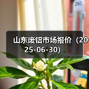 山东废铝市场报价（2025-06-30）（图3）