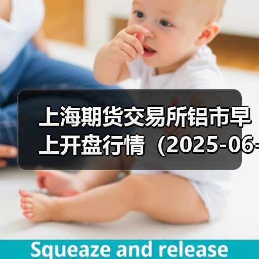 上海期货交易所铝市早上开盘行情（2025-06-30 09:03）（图3）