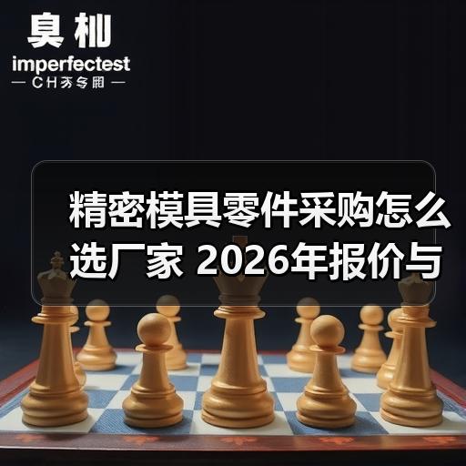 精密模具零件采购怎么选厂家 2026年报价与交期避坑指南